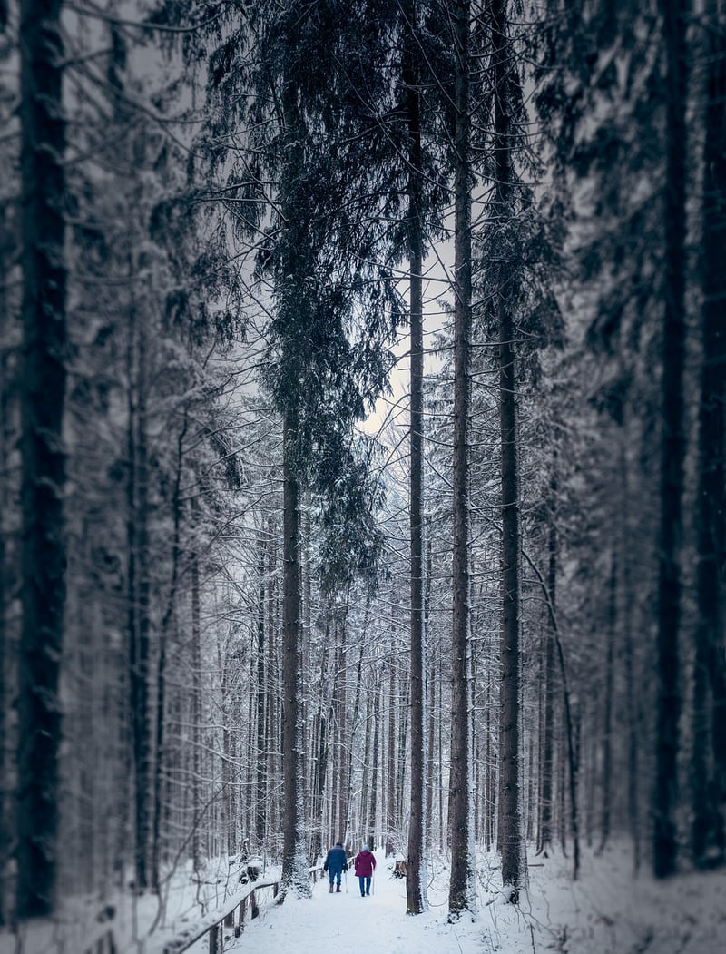 Woodland Whimsy
